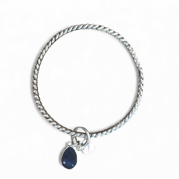 Silver Twisted Bangle-Interchangeable Charms